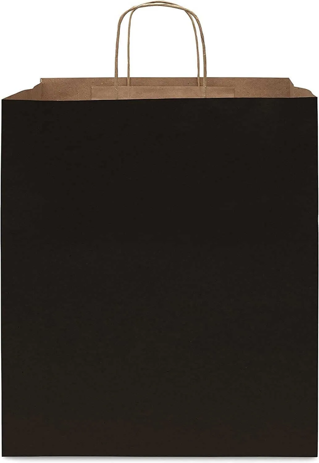 14x10x16.75 Black Paper Bags with Handles