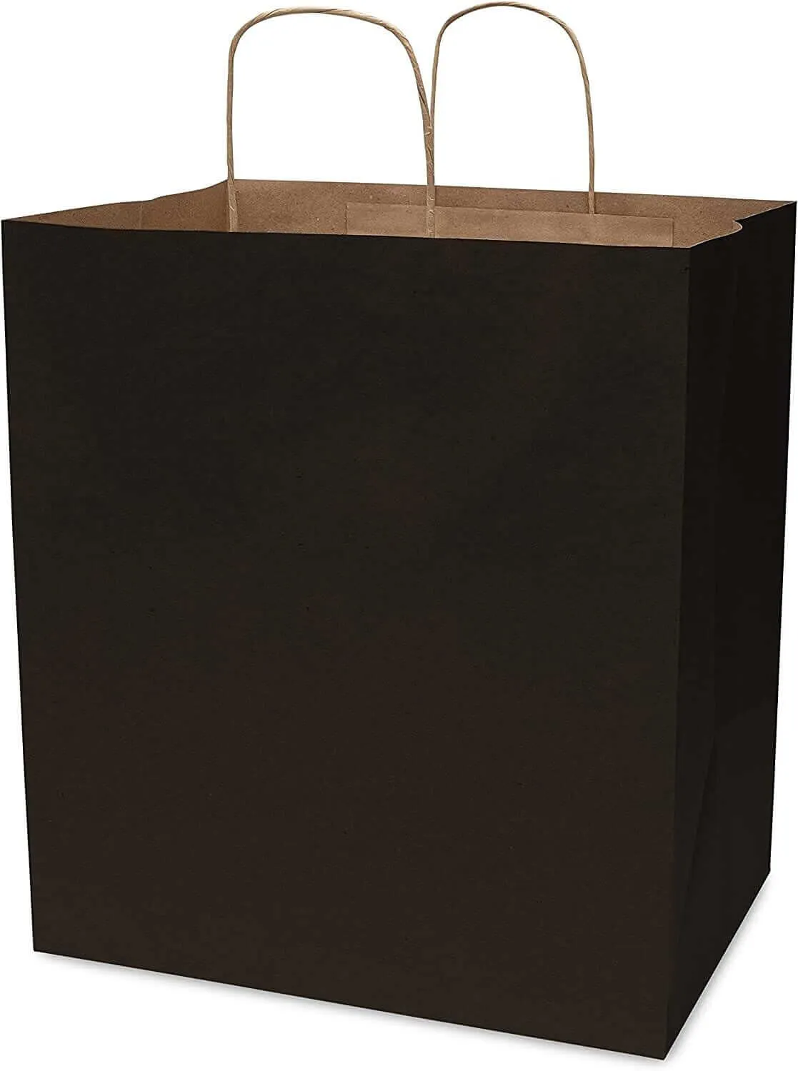 14x10x16.75 Black Paper Bags with Handles