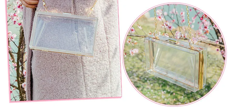 Acrylic Clear Cute Transparent Crossbody Bag